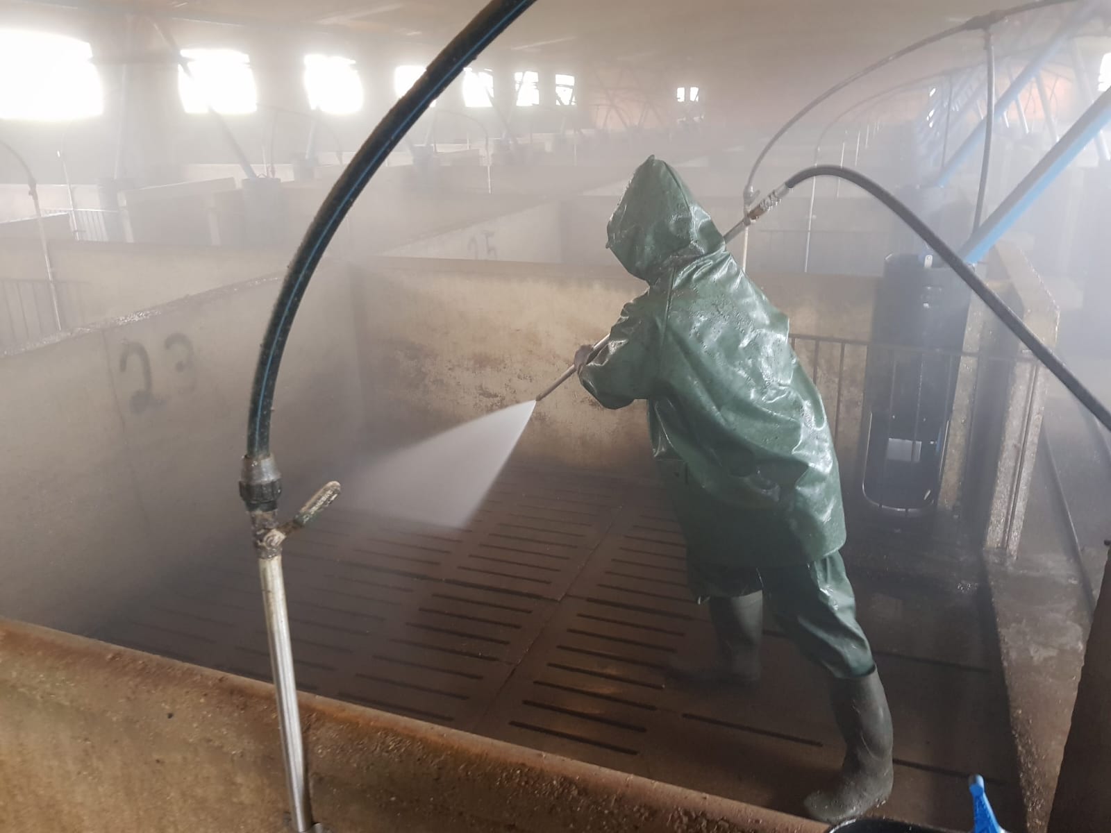 Nave ganadera durante el lavado a alta presión